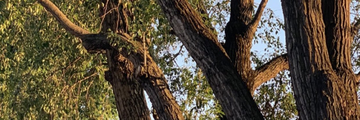 Law6252's profile banner image
