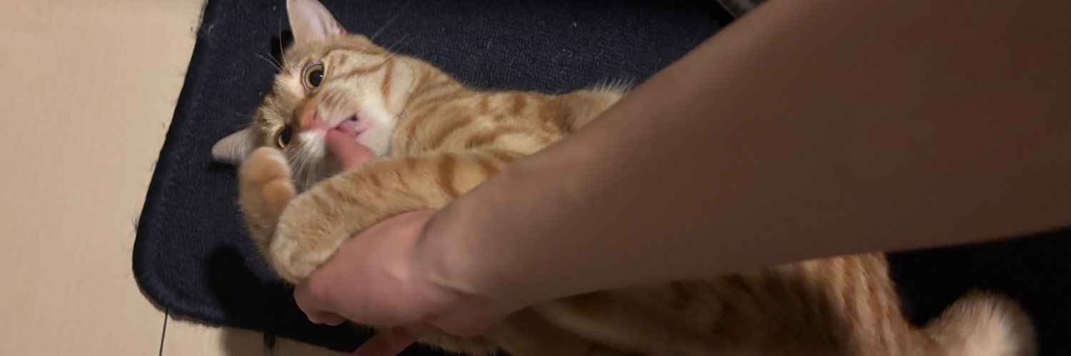 fai_asmr's profile banner image
