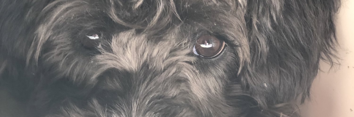 MayoG29's profile banner image