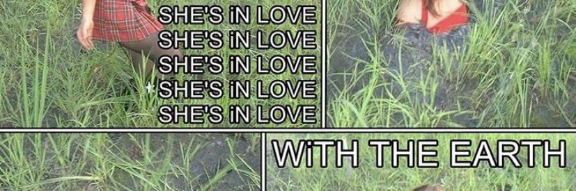 lily's banner