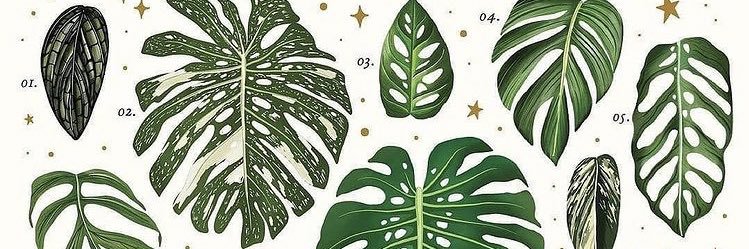 love_geog's profile banner image