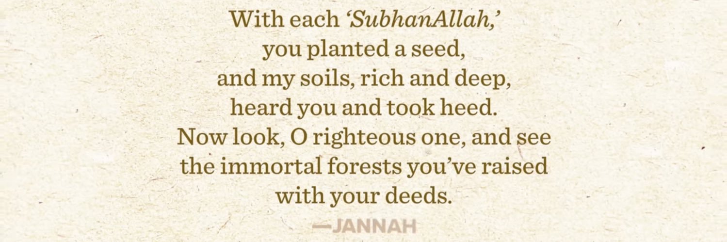 Mirwais میرویس, MD banner