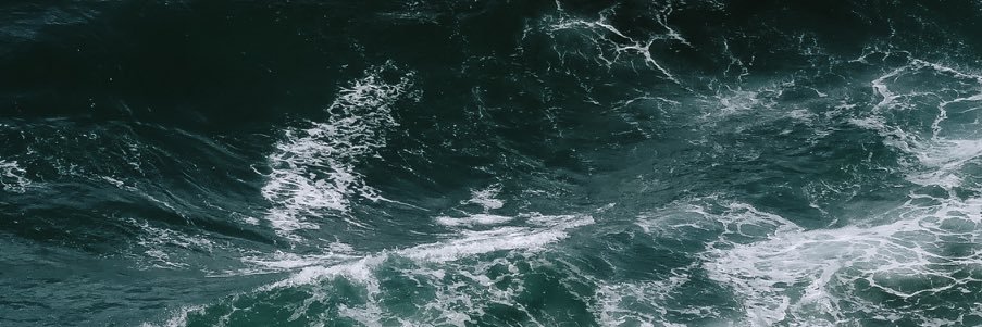 Ashleigh Pitcher🪸🖤💜 banner