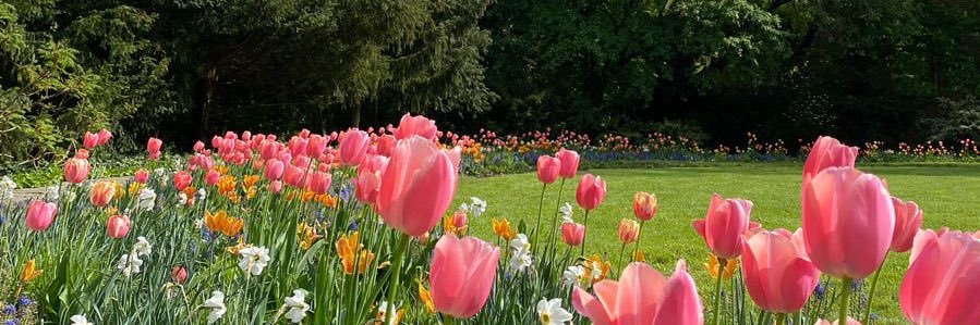 jenna 🌷🪻💌 banner