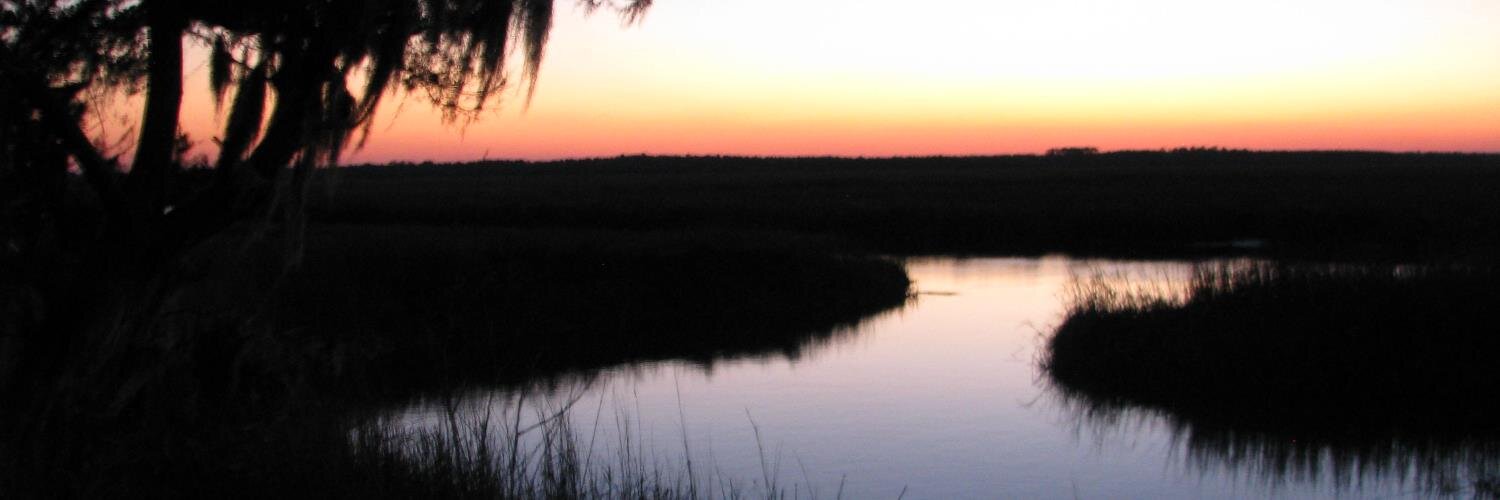lynyrdsbackyard's profile banner image