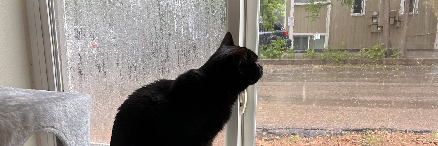 bri 😵‍💫🐀 banner