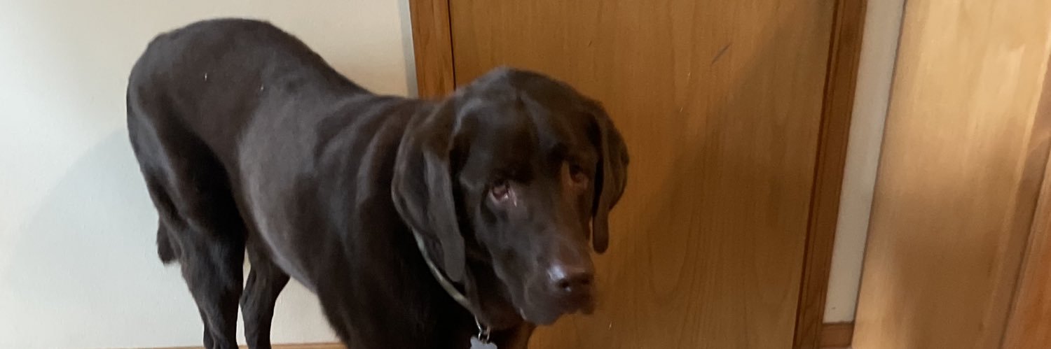 Aaron Chapman banner