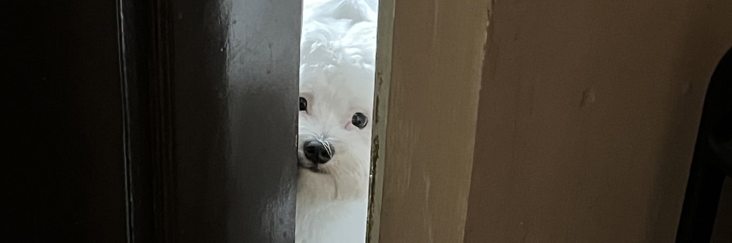 KhyleeeMartin's profile banner image