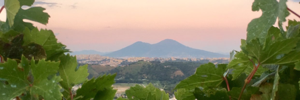 Donnatchun's profile banner image