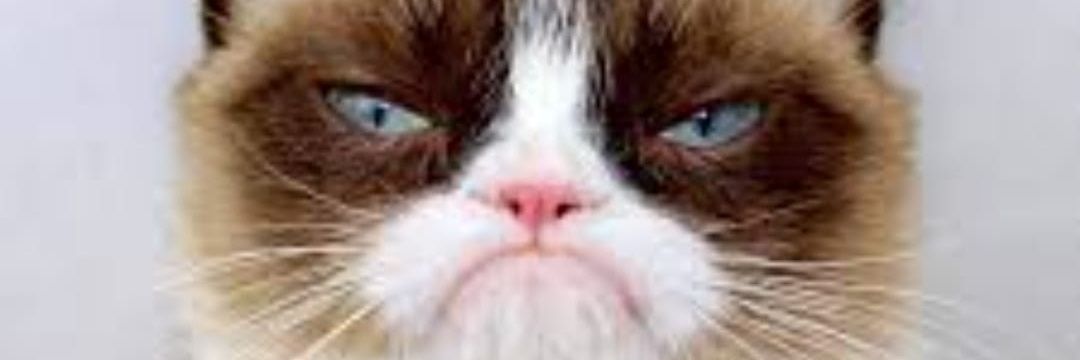 mymo386's profile banner image