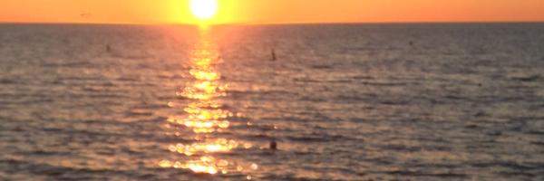 TC_SW_FL Profile Banner