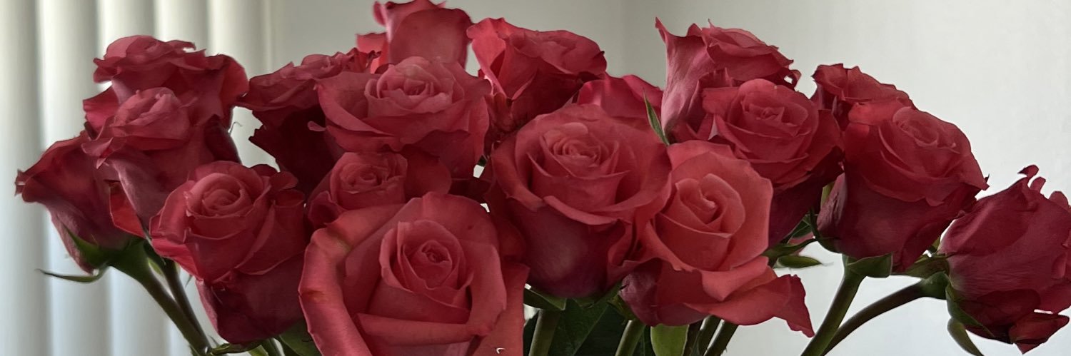 xoalyssag's profile banner image