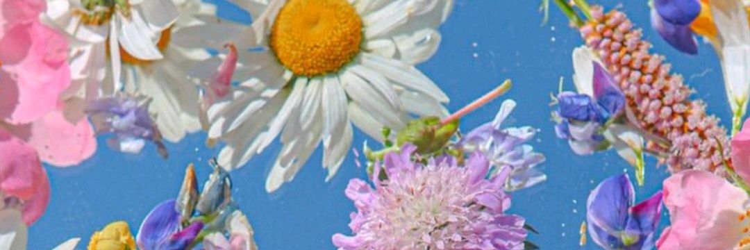 AgusRigo's profile banner image