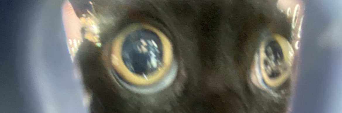 pyochi444's profile banner image