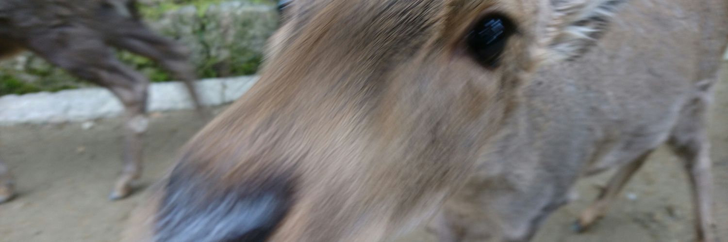 tanatyuSP's profile banner image