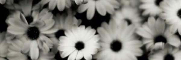 baselayerboo Profile Banner