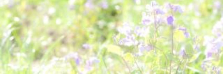 tttririko's profile banner image
