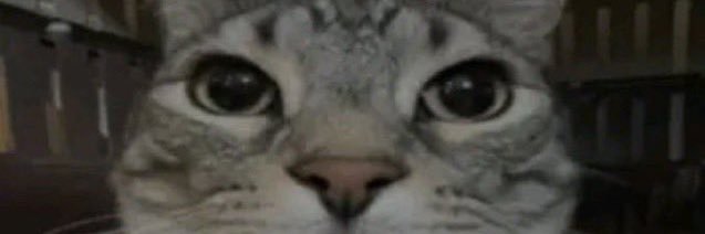 Loann banner