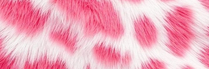 MoreaTu1's profile banner image