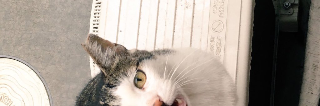 pipipi_Kn's profile banner image
