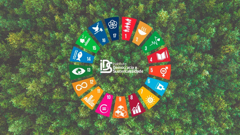 Instituto Democracia e Sustentabilidade banner