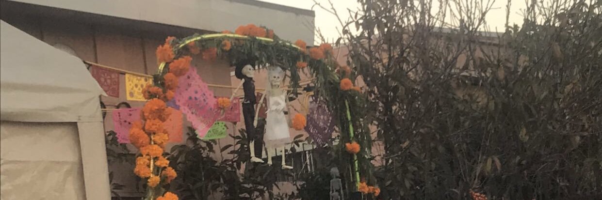 RadRadriguez's profile banner image