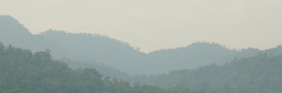 nanorth19 banner