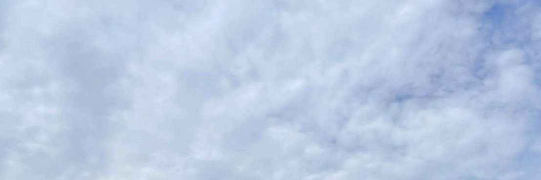 はな banner