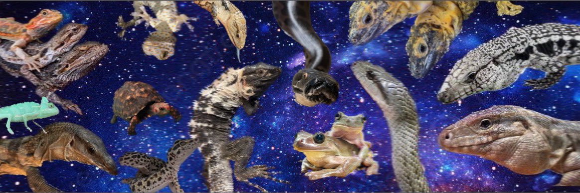 アーシャ banner