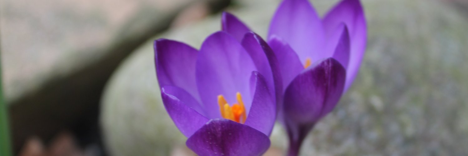 birdie893's profile banner image
