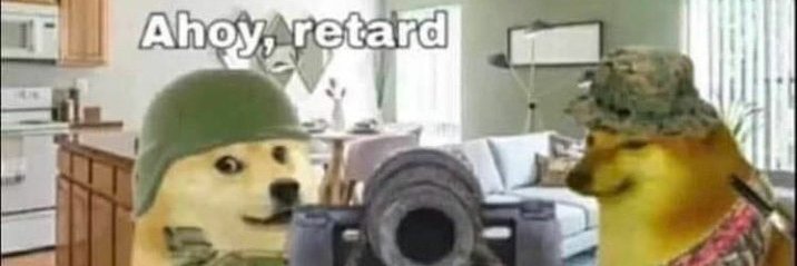 ProtoDoc217's profile banner image