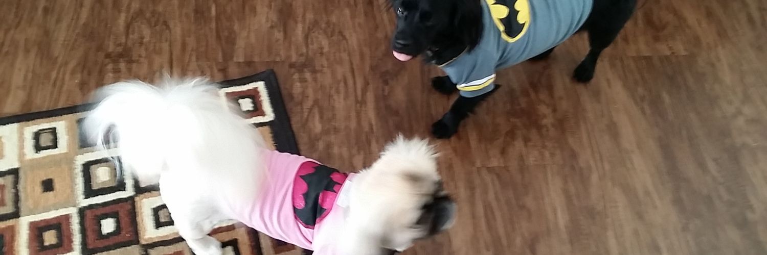 Dr. Tracy Ocasio banner