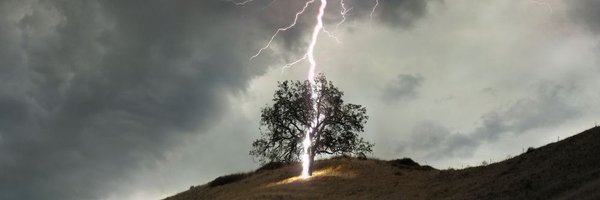 SkaldofJorvik Profile Banner