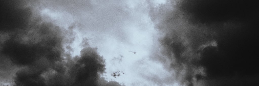 BerryFabian's profile banner image