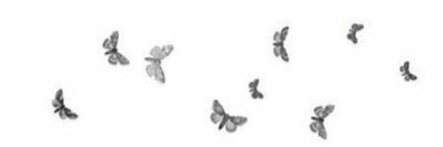 snforh__22's profile banner image