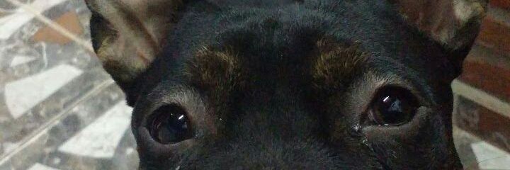 RooohTorres's profile banner image