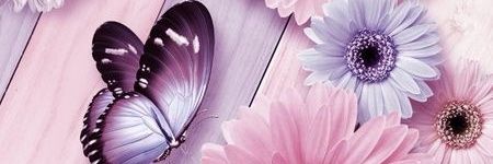zozo6059's profile banner image