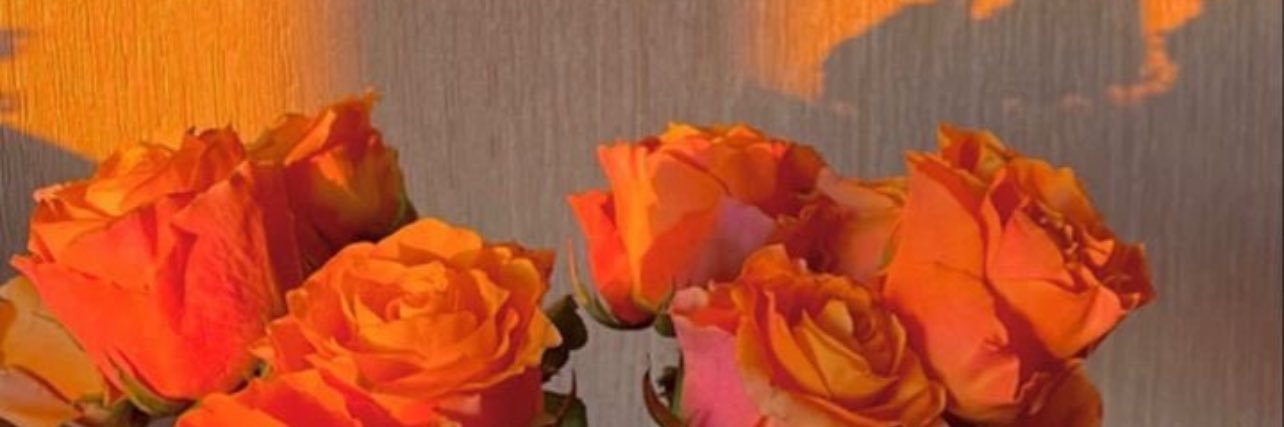 SC_Breeze's profile banner image