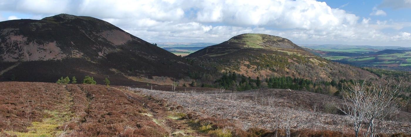 NetherSchot 🇪🇺 banner