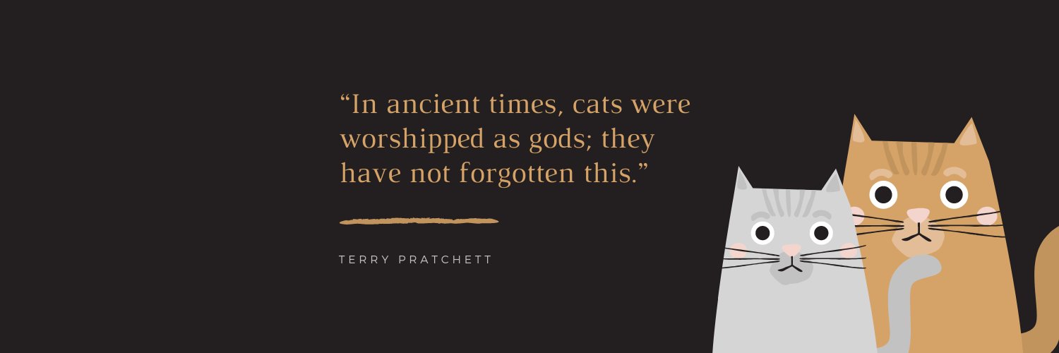 TheKumarRohit banner