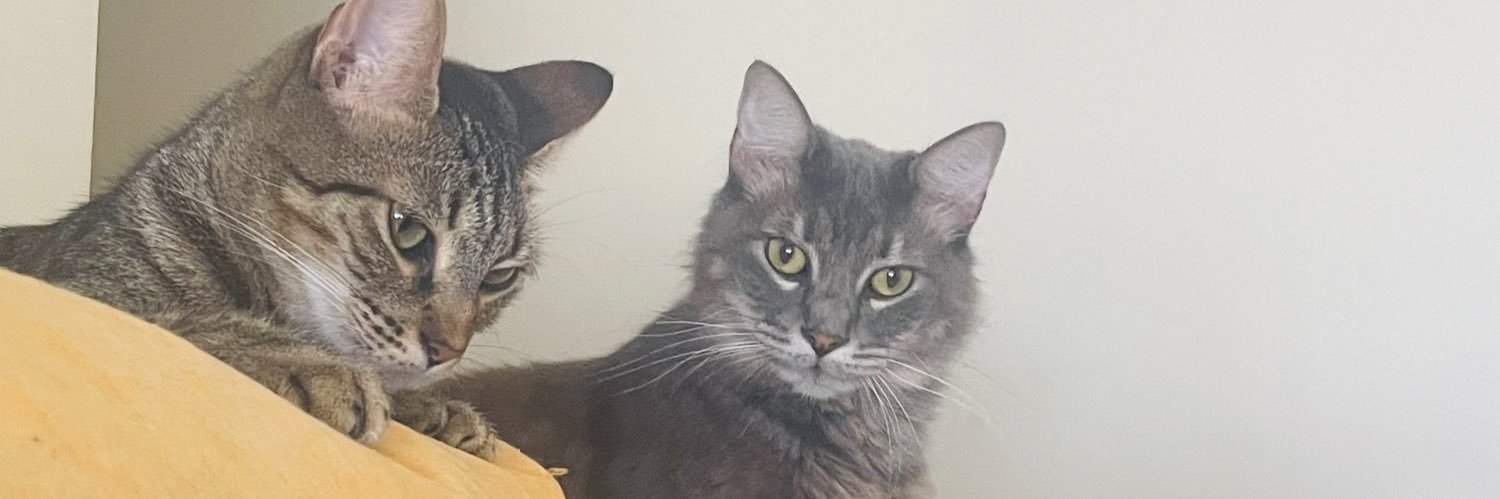 choppercito_'s profile banner image