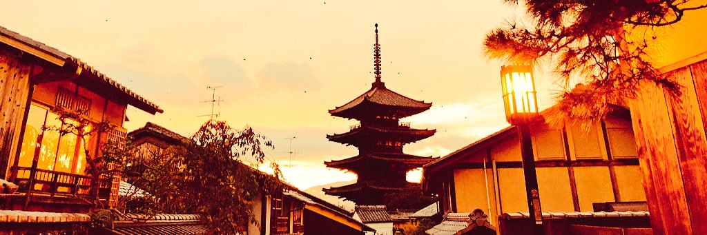kitty177162's profile banner image