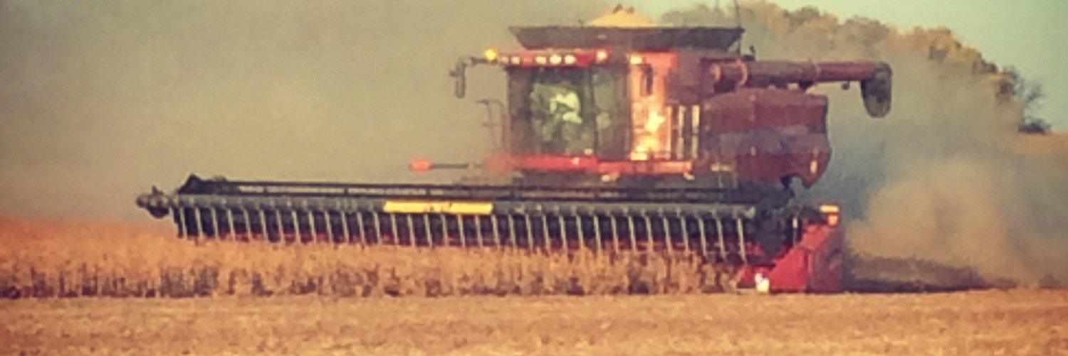 Tcup79's profile banner image