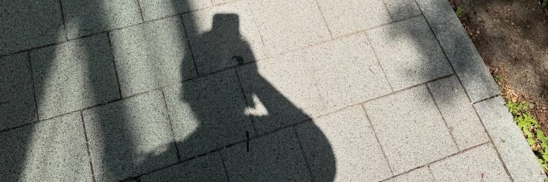 lieyonqqin's profile banner image