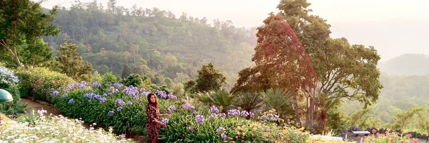 hasiAdhi's profile banner image