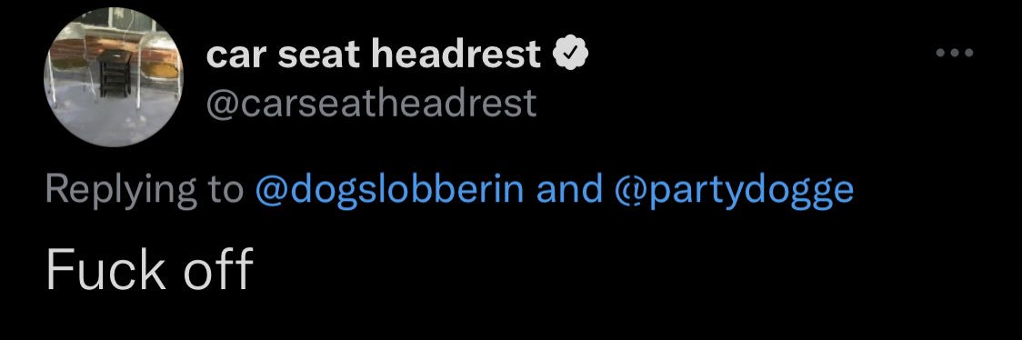 Tall on Main 🔜 Animalz banner