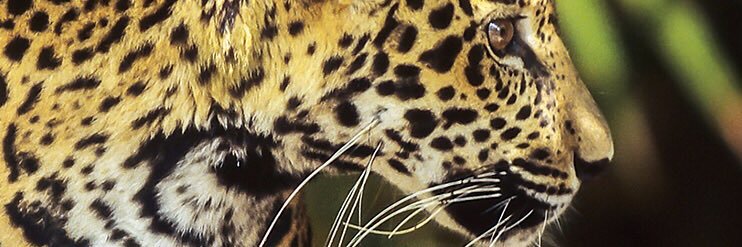 onur0158's profile banner image