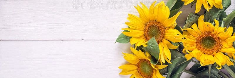 AreLy_Al04's profile banner image