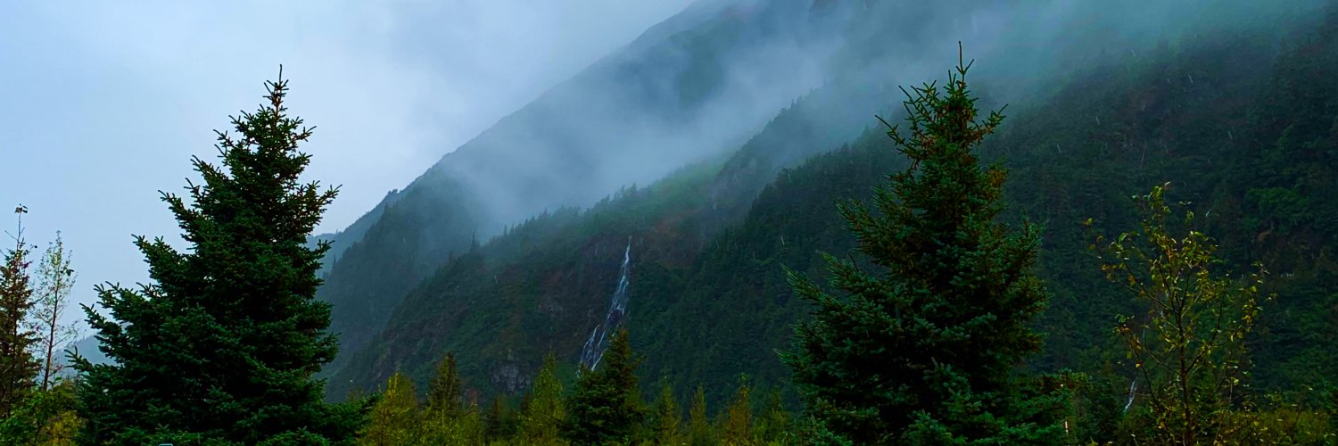 Completely Arbortrary banner