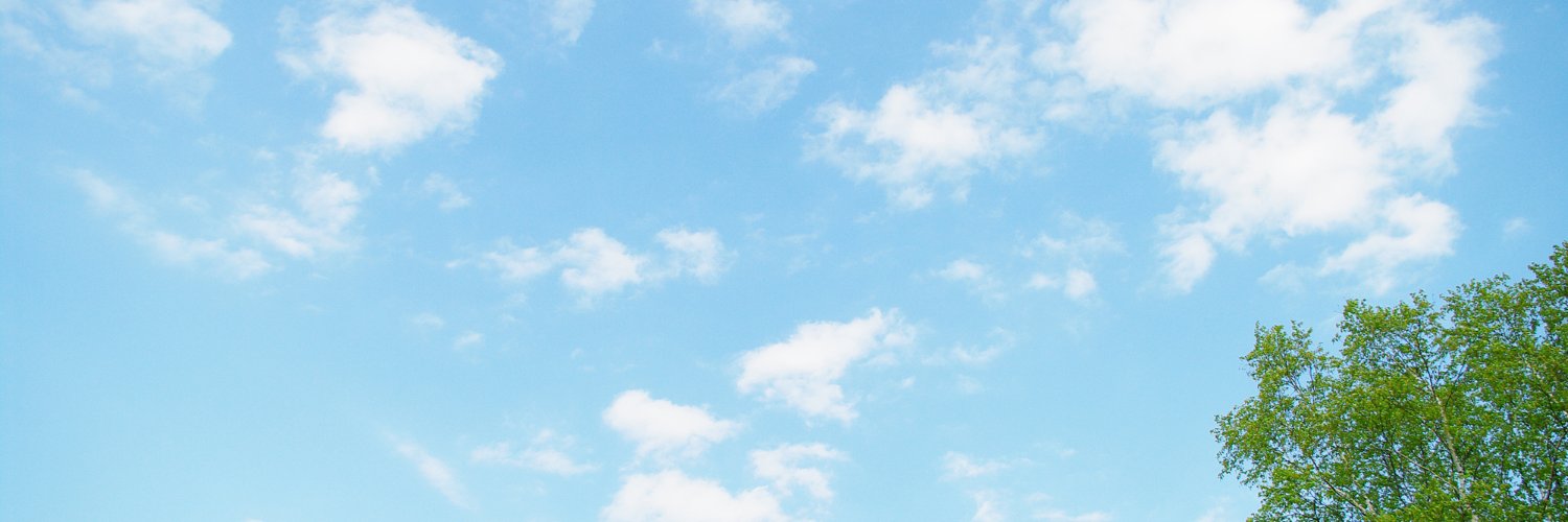 z_wandaaa's profile banner image